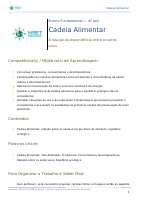 PLANO AULA CADEIA ALIMENTAR (4).doc